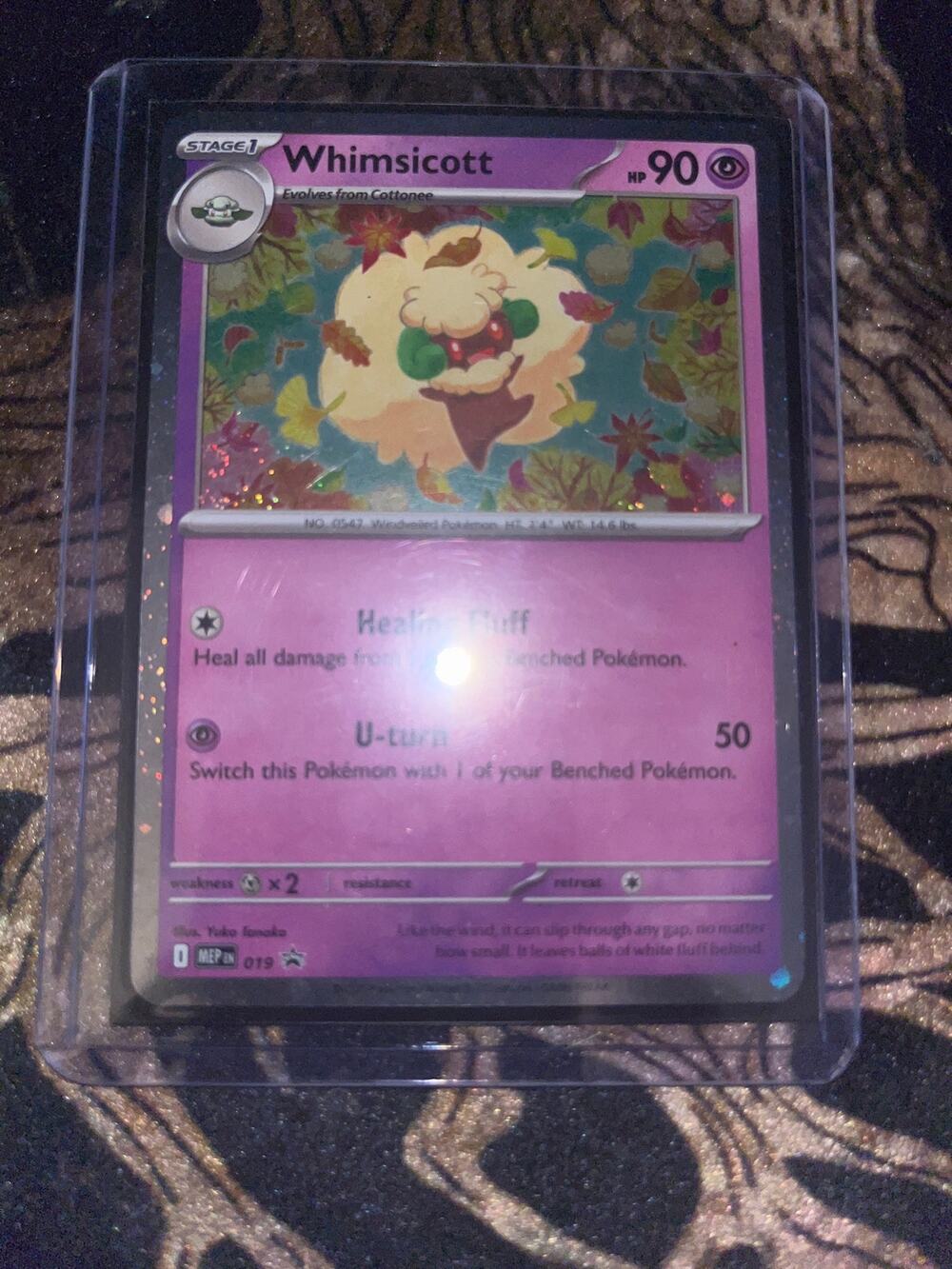 Whimsicott (Cosmos Holo) Black Star Promo card from the Mega Evolution Promo